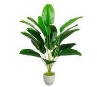 Zelihrdu Piante Artificiali Interno Realistiche, Pianta Artificiale Albero da Esterno, Grandi Piante Finte con Vaso Decorazioni per Casa Ufficio Soggiorno Balcone (80cm Uccello del Paradiso Verde)