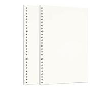 Zelten Fogli di carta perforata per raccoglitori a 6 fori, organizzatore personale per quaderni, agenda ricaricabile, Sketch, B5/26 Hole