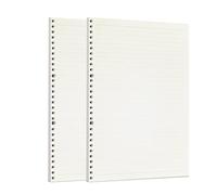 Zelten Ricarica di fogli di carta perforata per raccoglitori a 6 fori, organizer, diario personale, taccuino, agenda ricaricabile, Lined, A4/30 Hole