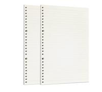 Zelten Ricarica di fogli di carta perforata per raccoglitori a 6 fori, organizer, diario personale, taccuino, agenda ricaricabile, lined, B5/26 Hole