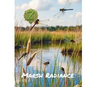 Zen Color Escape Nature Wetland Marsh Radiance