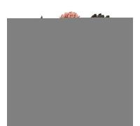 Zen Garden, Small Japanese Sand Garden Kit, 8.47x6.9x0.59 Inches Relaxing Meditation Decor, Artistic Miniature Craft Set, Stress Relief Table Ornament, for Workplace, Study Room