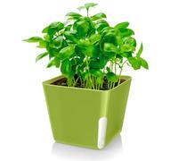 Zendea Vaso Quadrato Verde per Piante, Fiori ed Erbe Aromatiche 13x11cm - Ideale per Giardino, Terrazza e Balcone con Comoda Parte Trasparente Ottima per Controllare il Livello Dell'Acqua