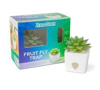 ZendoZones Trappola per mosche della frutta grassa, design tranquillo Tabitha con base bianca, ecologica, per interni, trappola decorativa facile da usare, confezione da 6