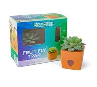 ZendoZones Trappola per mosche della frutta grassa - design tranquillo Tabitha con base in terracotta - ecologico per interni - Trappola decorativa facile da usare, confezione da 6
