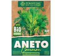 ZenGreens® Semi di aneto biologico - Semi di erbe aromatiche per la coltivazione in giardino, sul balcone o in cucina - Ideali per i principianti