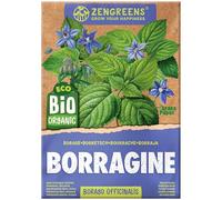 ZenGreens® Semi di borragine biologico - Semi di erbe aromatiche per la coltivazione in giardino, sul balcone o in cucina - Ideali per i principianti