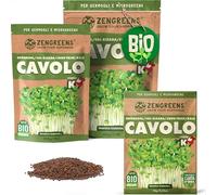 ZenGreens® Semi di cavolo verde biologico - Scegli tra 200g e 500g | germogli e microgreens - per barattolo, vassoio e germogliatore a piani - alta germinabilità - raccolta in pochi giorni
