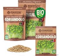 ZenGreens® - Semi di coriandolo biologico - Scegli tra 10g, 200g e 500g - Germogli di coriandolo - Germinazione superiore al 97% - Microgreens