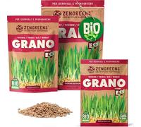 ZenGreens® Semi di grano biologico - Scegli tra 200g e 500g | germogli e microgreens - per barattolo, vassoio e germogliatore a piani - alta germinabilità - raccolta in pochi giorni