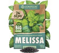 ZenGreens® Semi di melissa vera biologico - Semi di erbe aromatiche per la coltivazione in giardino, sul balcone o in cucina - Ideali per i principianti - Limoncella, melissa o cedronella