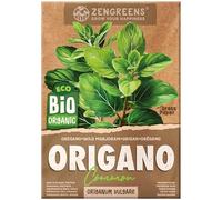 ZenGreens® Semi di origano biologico - Semi di erbe aromatiche per la coltivazione in giardino, sul balcone o in cucina - Ideali per i principianti