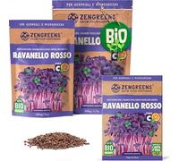 ZenGreens® Semi di ravanelli rossi biologico - Scegli tra 200g e 500g