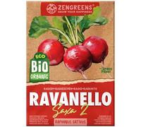 ZenGreens® Semi di ravanello biologico - Semi di verdure per la coltivazione in giardino, sul balcone o in un'aiuola rialzata - Sementi di ortaggi - Saxa 2
