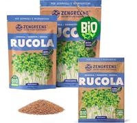 ZenGreens® Semi di rucola biologico - Scegli tra 200g e 500g | germogli e microgreens - per vassoio - alta germinabilità - raccolta in pochi giorni - per insalate, bowl e panini
