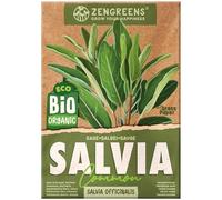 ZenGreens® Semi di salvia biologico - Semi di erbe aromatiche per la coltivazione in giardino, sul balcone o in cucina - Ideali per i principianti