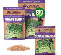 ZenGreens® - Semi di senape bianca biologico - Scegli tra 10g, 200g e 500g - Germogli di senape bianca - Germinazione superiore al 97% - Microgreens