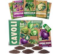 ZenGreens® - Set di Semi di Cavolo bio (6 pezzi) - 6 Semi di Cavolo per Coltivazione Facile in Giardino, Balcone o Serra - Semi da Piantare - Sementi