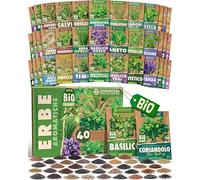 ZenGreens® - Set di Semi di Erbe Aromatiche bio (40 pezzi) - 40 Semi di Erbe Aromatiche per Coltivazione Facile in Giardino, Balcone o Serra - Semi da Piantare - Sementi