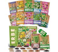 ZenGreens® - Set di Semi di Erbe Selvatiche bio (15 pezzi) - 15 Semi di Erbe Selvatiche per Coltivazione Facile in Giardino, Balcone o Serra - Semi da Piantare - Sementi