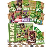 ZenGreens® - Set di Semi di Insalate Miste bio (20 pezzi) - 20 Semi di Insalate Miste per Coltivazione Facile in Giardino, Balcone o Serra - Semi da Piantare - Sementi