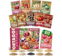ZenGreens® Set di Semi di Ortaggi Antichi bio - 10 varietà antiche | come nell'orto della nonna, rarità quasi dimenticate, idea regalo per giardinieri