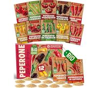 ZenGreens® - Set di Semi di Peperone bio (12 pezzi) - 12 Semi di Peperone per Coltivazione Facile in Giardino, Balcone o Serra - Semi da Piantare - Sementi