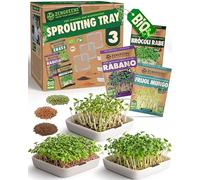 ZenGreens® Vassoio per germogli bio - Set da 3 - Germogliatore con rete - Include vaschetta e semi (crescione, broccoli & ravanello)