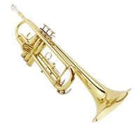 ZENGXUE B Strumento Tromba Piatta Principiante Principiante Tromba Del Livello Principiante Tromba per studenti in ottone