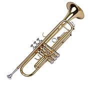 ZENGXUE B Tromba Standard BB Tromba BB Tromba In Ottone Con Cinghie Con Custodia Rigida 7C Guanti Per Bocchino Panno Per La Pulizia Per Principianti Tromba per studenti in ottone
