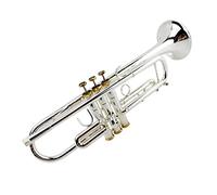 ZENGXUE Playing Playing Playing Tromba strumento musicale Silver-placcato il corno integrato in argento inciso a mano Tromba per studenti in ottone