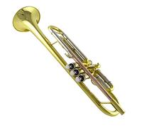 ZENGXUE Prestazioni Del Test Del Bronzo Del Bronzo Del Fosforo Del Fosforo Della Tromba A Tre Colori B-flat Per Le Prestazioni Del Test Principianti Tromba per studenti in ottone