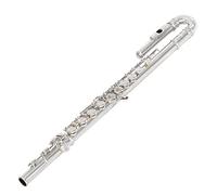 Zengxue Principiante Flauto 16 Fori Argento Placcato Flauto A Gomito Doppio Boccaglio Per Studenti Per Gli Studenti Per Principianti Adulti E Professionisti