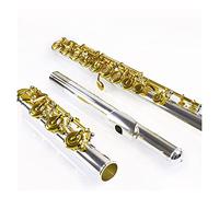 Zengxue Principiante Flauto 17 Boccaglio In Argento In Argento In Argento In Argento In Linea In Linea Strumento Di Flauto Placcato Oro