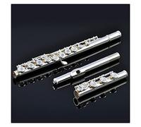 Zengxue Principiante Flauto Bocchino In Argento Sterling Con 17 Fori Che Aprono B Tail Musical Strument C Key