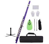 Zengxue Principiante Flauto Carry Case Flauto Stand Chiuso Hole C Flute 16 Tasti Cupronickel Strumento Di Vento Nichelato (Color : Purple)