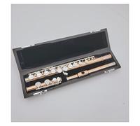 Zengxue Principiante Flauto I Fori Chiusi Della Flauto Della Lacca Dell'oro Spalato E Il Marchio 16 Keys Strumenti Musicali Flauto Con Custodia