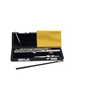 Zengxue Principiante Flauto Piccolo Mezza Formato Flauto Cupronickel Argento Placcato C Tono C Con Custodia Per Custodia In Pelle E (Color : Silver)