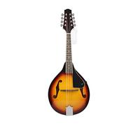 Zengxue Strumento Musicale Mandolin Studente Principiante Che Gioca Strumento Musicale Otto Chitarra Stringa Strumento Mandolino (Color : 01)