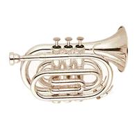 ZENGXUE Valvole Placcate Argento Pocket Tommumt Tone BB Tromba per studenti in ottone