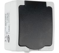 Zenitech, Presa 16A 2P+T IP54 Grigio Aquae, impermeabile per esterno, sicurezza per bambini, collegamento rapido, potenza 3680W-250V, certificato NF, ideale per pareti e facciate, installazione facile