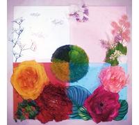 Zenizen - P.O.C (Proof Of Concept)