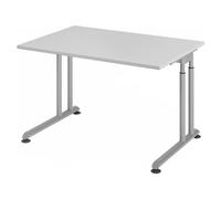 ZENO 12 S | Scrivania - 120x80 Grigio/Argento regolabile in altezza