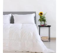 Zenoni & Colombi Piumino Piazza e mezza Invernale in 100% Piuma D'Oca Riciclata, Piumone Plumeco 4 Punti di Calore Made in Italy (Piazza e Mezza 200x200cm)