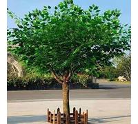 ZenSeFarin Alberi Banyan Artificiali Fatti a Mano Simulazione Pianta Verde Decorazione Albero Seta Finta per Home Office Matrimonio Evento Festa Ristorante Centro Commerciale,Round-3x2.5m/9.84x8.2ft