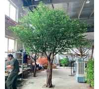 ZenSeFarin Alberi di Banyan Verdi Artificiali Densi di Piante di Simulazione Decorazione di Interni Albero Hotel Soggiorno Matrimonio Hotel Centro Commerciale Decorazione,Round-2x1.5m/6.6x4.9ft