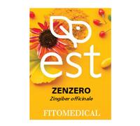 ZENZERO ES 60TAV