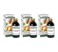 Zenzero Estratto Integrale 200 Ml 3x200 ml Soluzione orale