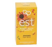 ZENZERO ES 60TAV
