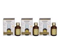 Zenzero Quintessenza Spray 15 ml 3x15 ml Spray orale